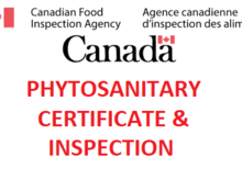  USA Phytosanitary Certificate & CFIA Inspection FOR TREES or SCIONS Image